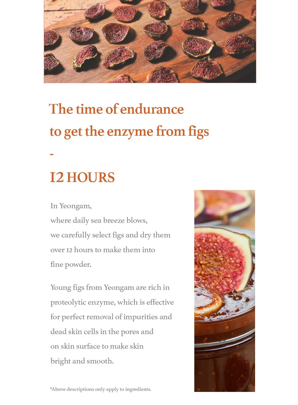 Fig Cleansing Balm (100ml) - Image 13
