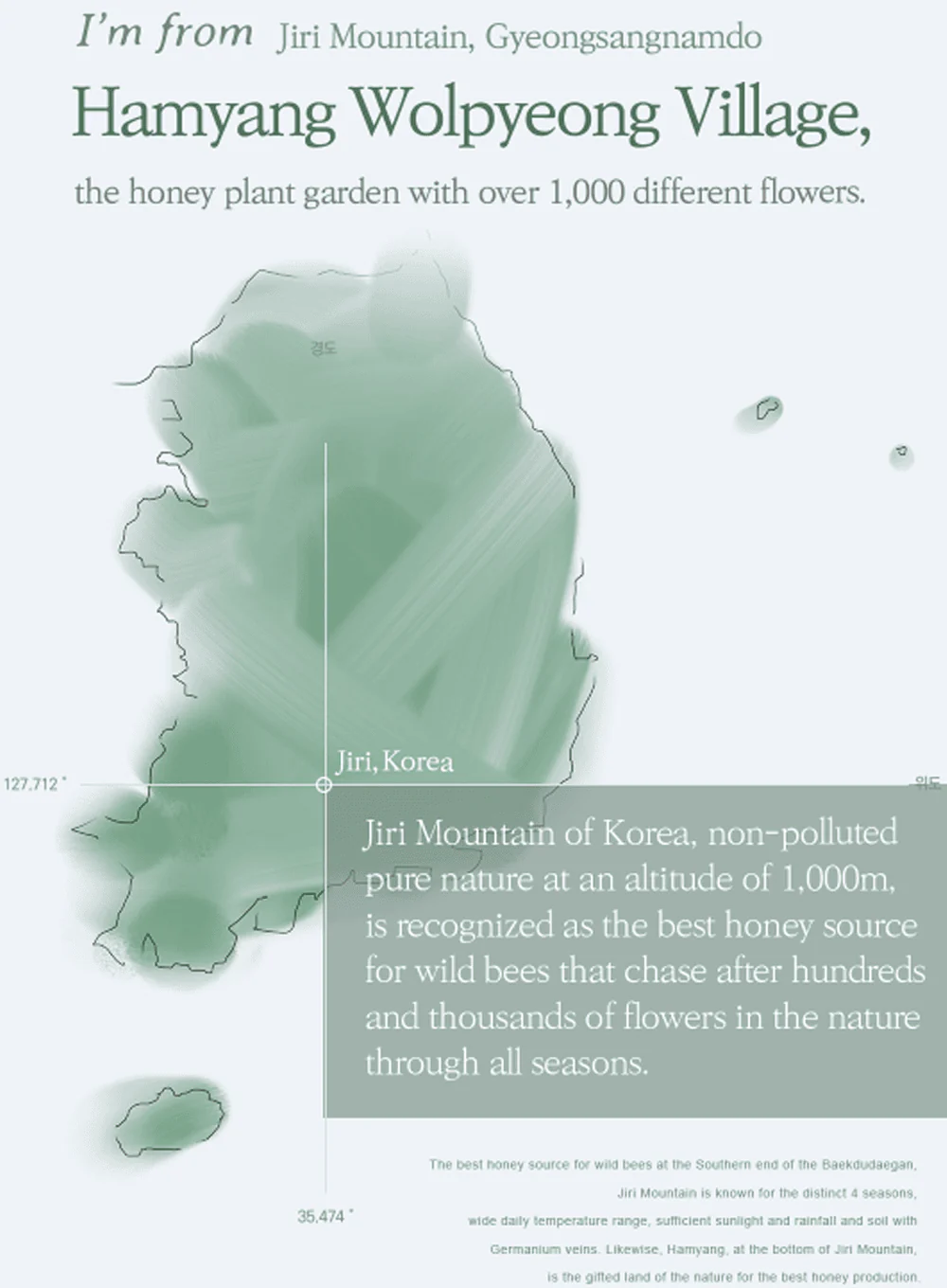 Honey Serum (30ml) - Image 9