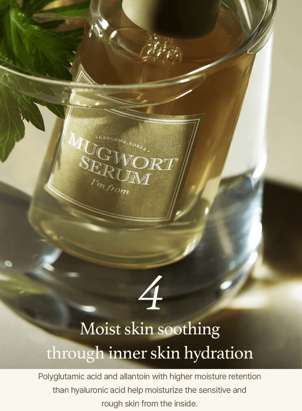 Mugwort Serum (30ml) - Image 11