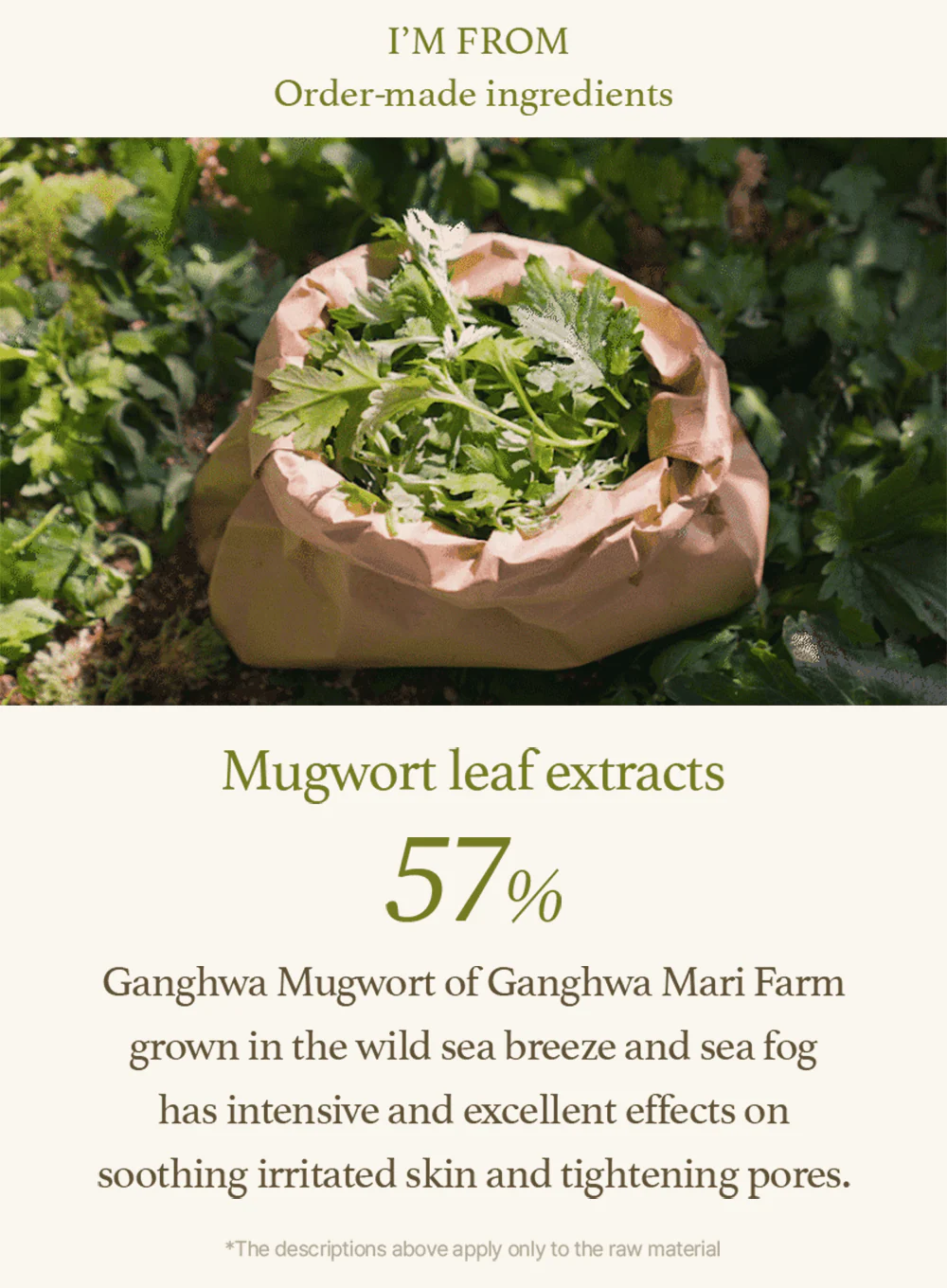 Mugwort Serum (30ml) - Image 3