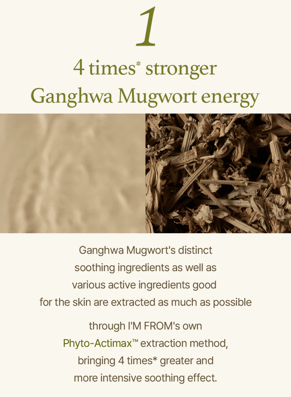 Mugwort Serum (30ml) - Image 4