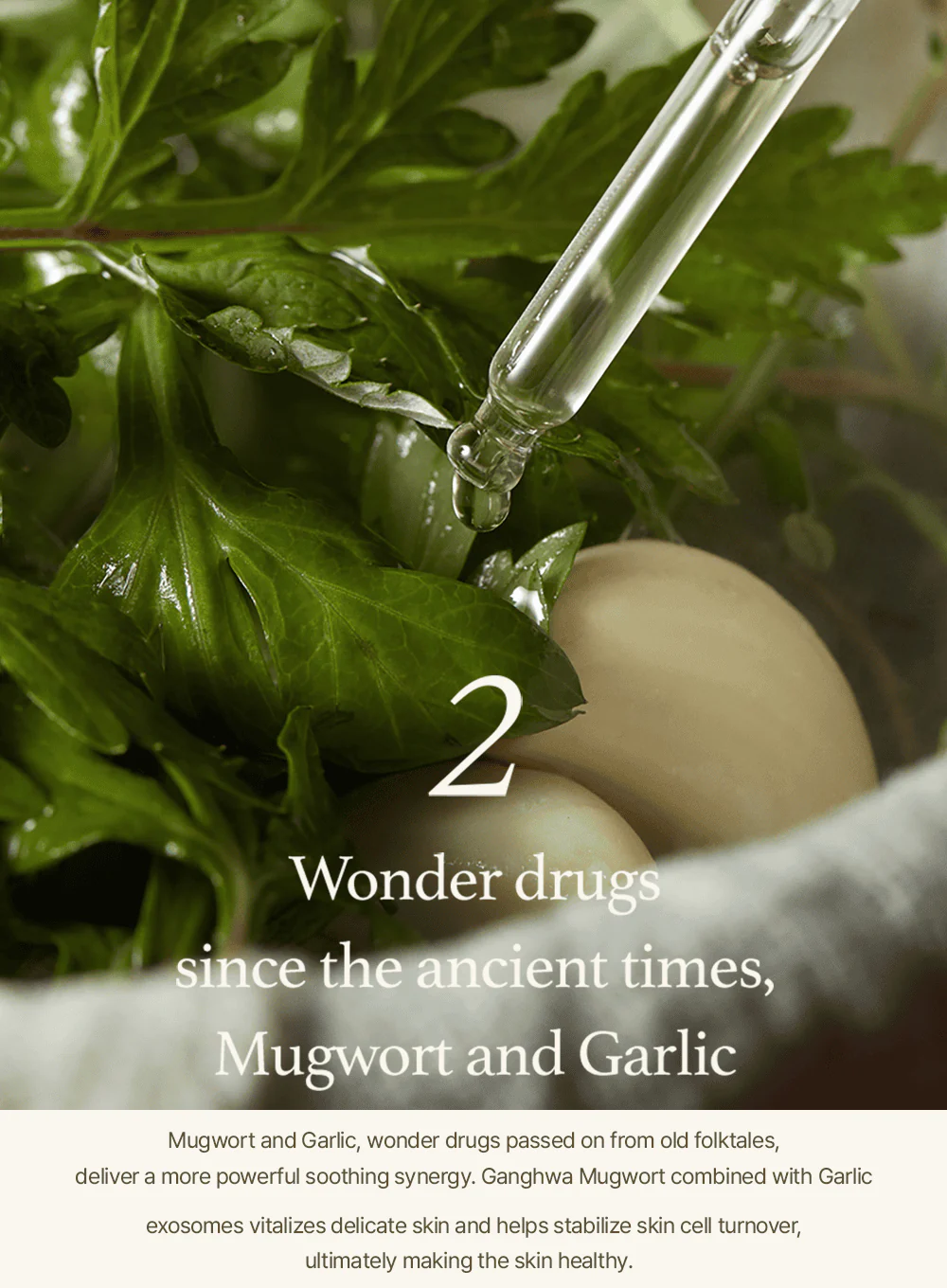 Mugwort Serum (30ml) - Image 6